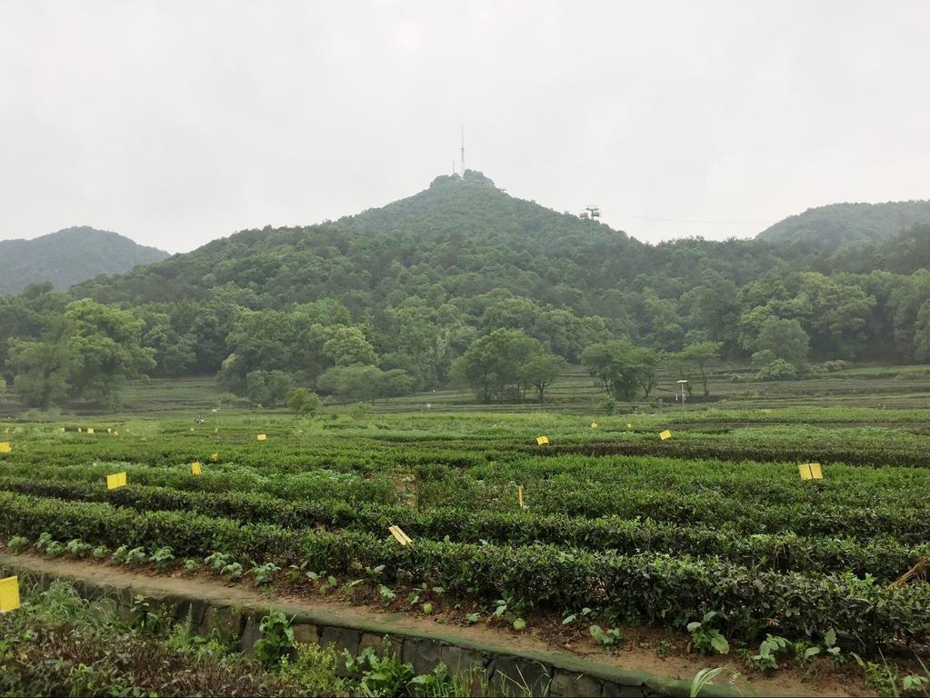 Two Towns Hostel Hàng Châu Ngoại thất bức ảnh